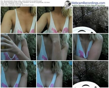 zbiornik-the__sims-webcam-show-07_12_2016-18_23_50