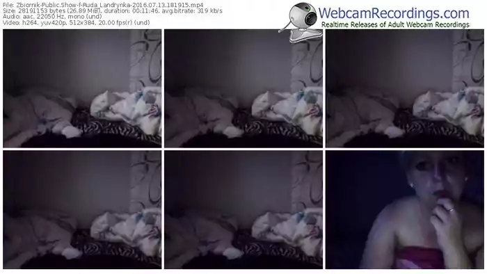 zbiornik-ruda_landrynka-webcam-show-07_13_2016-18_19_15