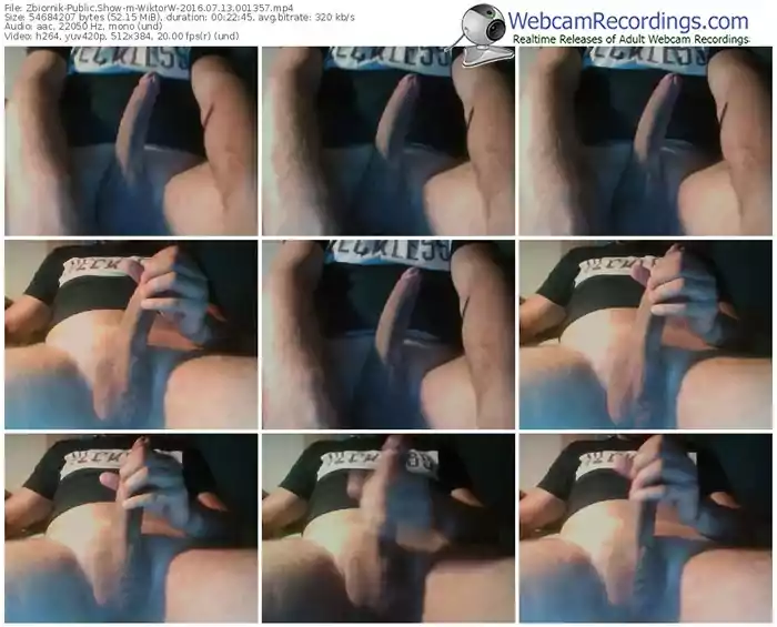 zbiornik-wiktorw-webcam-show-07_13_2016-00_13_57