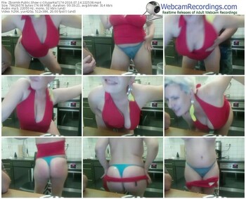 zbiornik-cityparka7174-webcam-show-07_14_2016-22_25_38