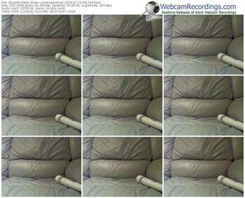 zbiornik-pieknaibestia1-webcam-show-07_15_2016-00_10_44