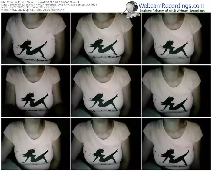 zbiornik-caska12-webcam-show-07_19_2016-00_40_22