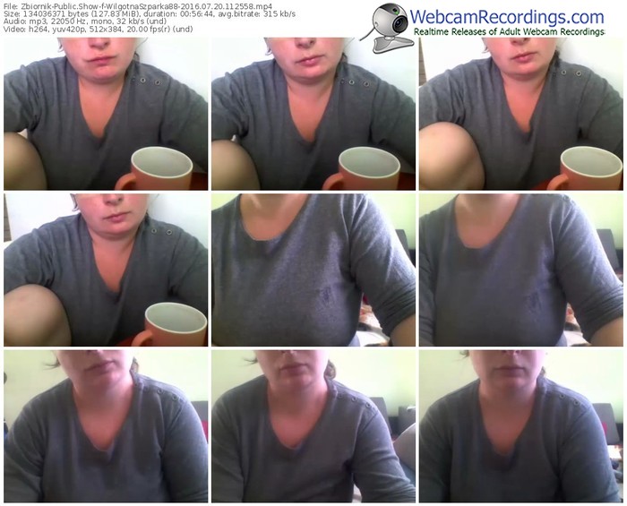 zbiornik-wilgotnaszparka88-webcam-show-07_20_2016-11_25_58