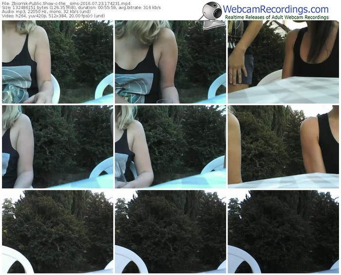 zbiornik-the__sims-webcam-show-07_23_2016-17_42_31