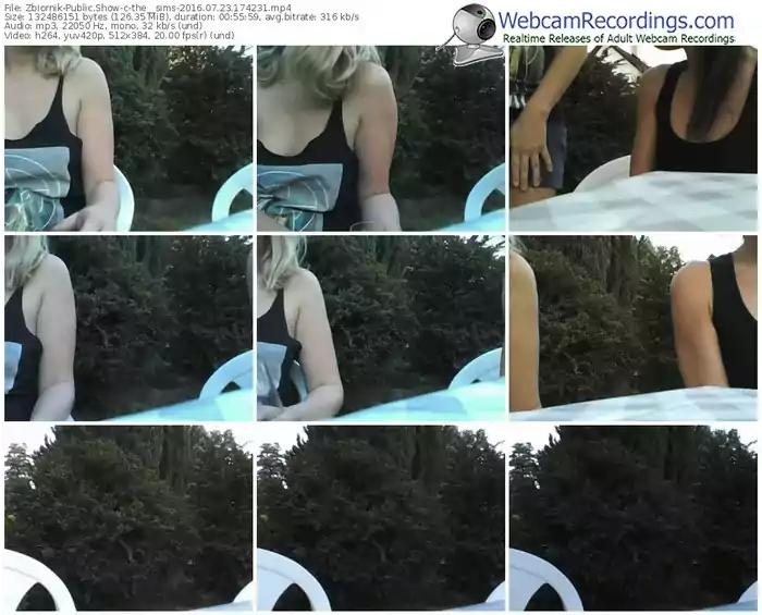 zbiornik-the__sims-webcam-show-07_23_2016-17_42_31