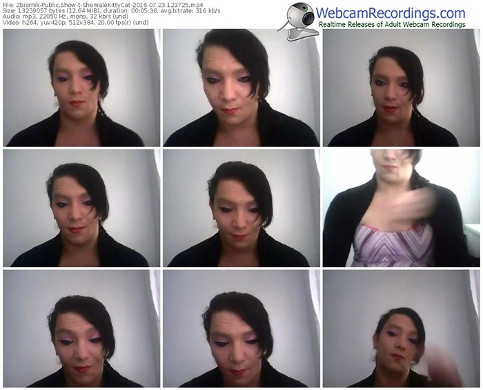 zbiornik-shemalekittycat-webcam-show-07_23_2016-12_37_25