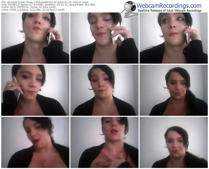 zbiornik-shemalekittycat-webcam-show-07_23_2016-14_32_27