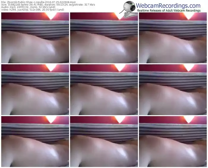 zbiornik-cipulla-webcam-show-07_25_2016-02_23_08