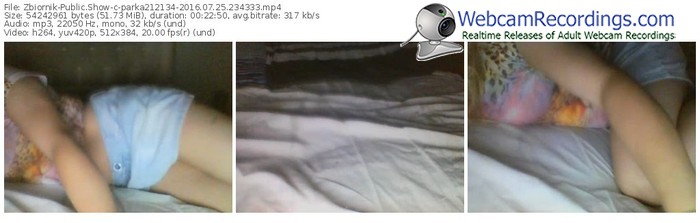 zbiornik-parka212134-webcam-show-07_25_2016-23_43_33