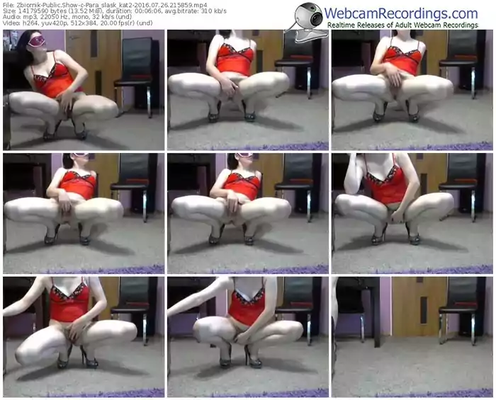 zbiornik-para_slask_kat2-webcam-show-07_26_2016-21_58_59