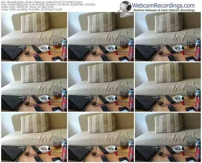 zbiornik-rood_en_kaal-webcam-show-07_27_2016-10_09_12