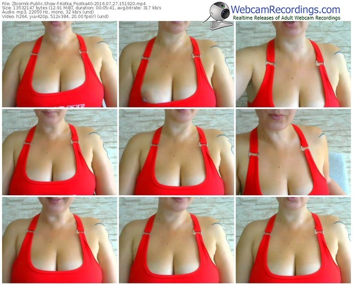 zbiornik-kotka_psotka40-webcam-show-07_27_2016-15_19_20