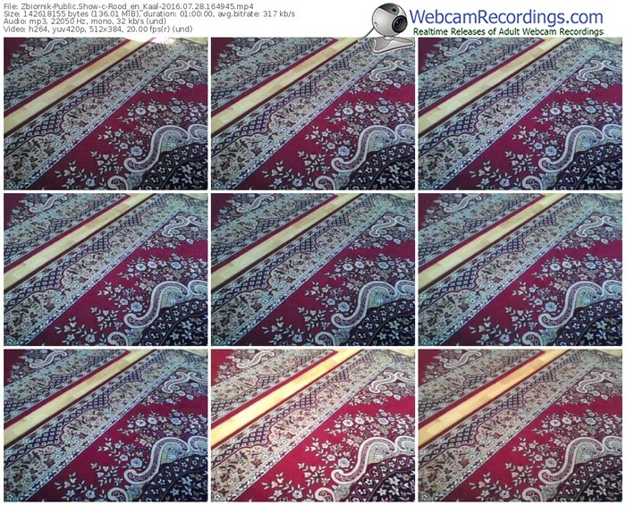 zbiornik-rood_en_kaal-webcam-show-07_28_2016-16_49_45