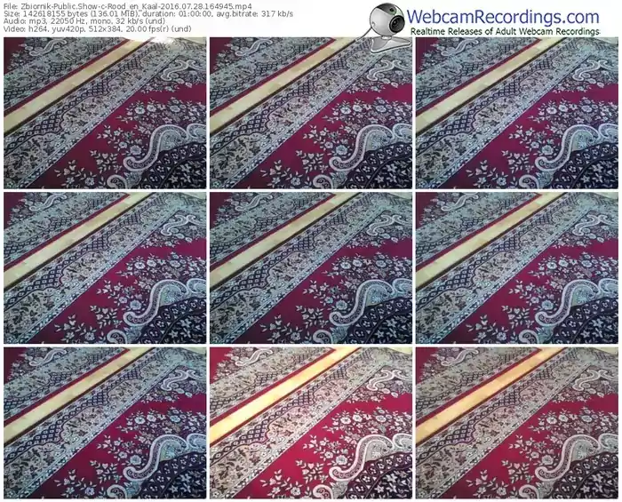 zbiornik-rood_en_kaal-webcam-show-07_28_2016-16_49_45