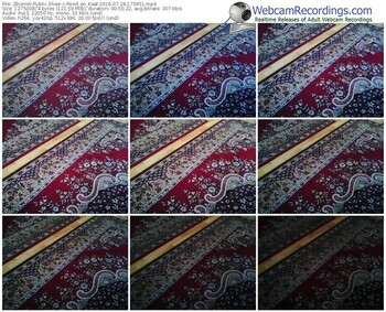 zbiornik-rood_en_kaal-webcam-show-07_28_2016-17_54_51