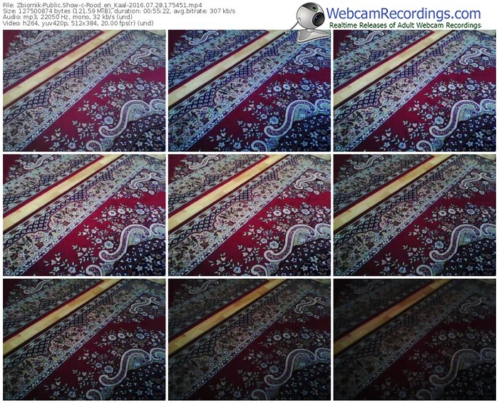 zbiornik-rood_en_kaal-webcam-show-07_28_2016-17_54_51