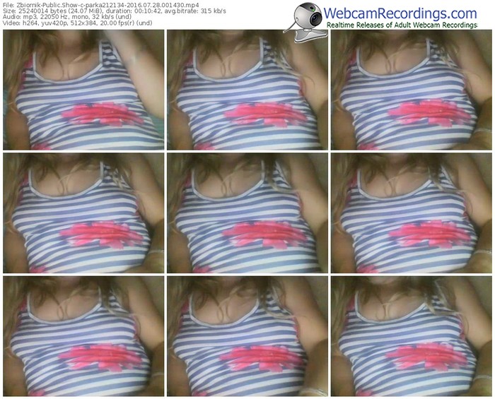 zbiornik-parka212134-webcam-show-07_28_2016-00_14_30