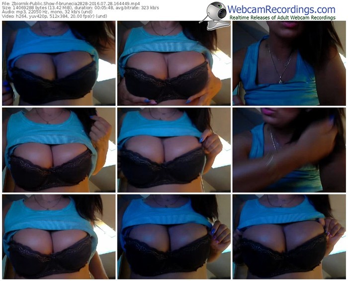 zbiornik-brunecia2828-webcam-show-07_28_2016-16_44_49