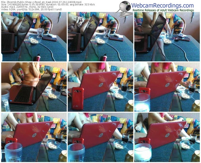 zbiornik-rood_en_kaal-webcam-show-07_29_2016-12_40_08