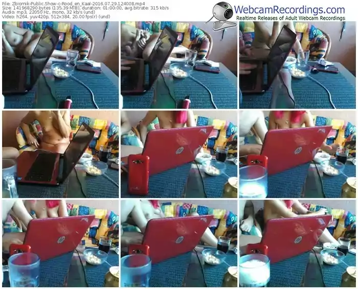 zbiornik-rood_en_kaal-webcam-show-07_29_2016-12_40_08