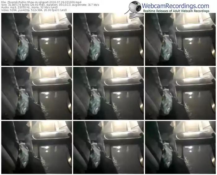 zbiornik-igloport-webcam-show-07_29_2016-02_10_00