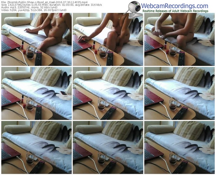 zbiornik-rood_en_kaal-webcam-show-07_30_2016-11_40_35