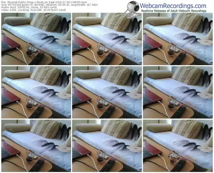 zbiornik-rood_en_kaal-webcam-show-07_30_2016-13_40_35