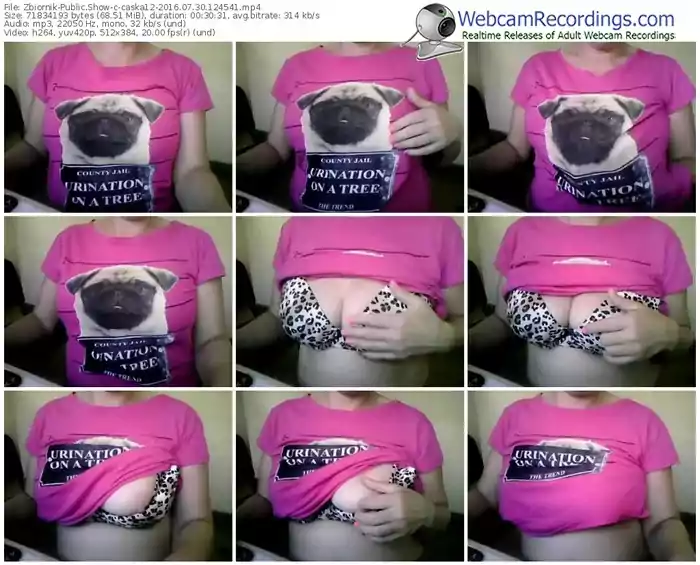 zbiornik-caska12-webcam-show-07_30_2016-12_45_41