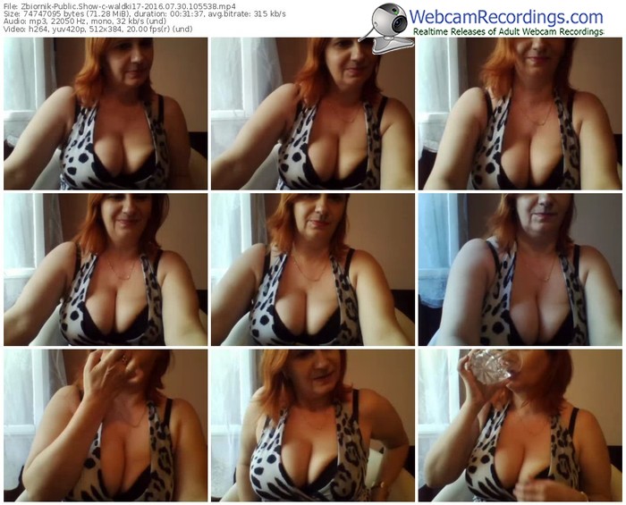 zbiornik-waldki17-webcam-show-07_30_2016-10_55_38