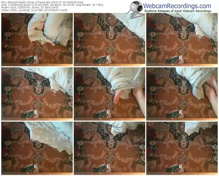 zbiornik-translidia-webcam-show-07_30_2016-05_45_29