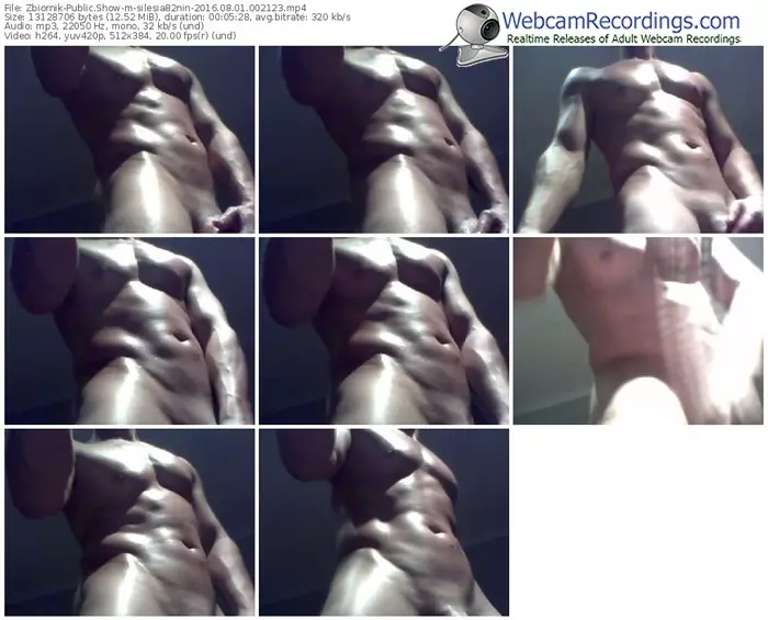 zbiornik-silesia82nin-webcam-show-08_01_2016-00_21_23