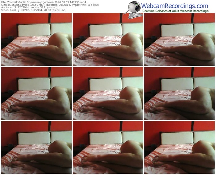 zbiornik-myzgorzowa-webcam-show-08_03_2016-14_27_36