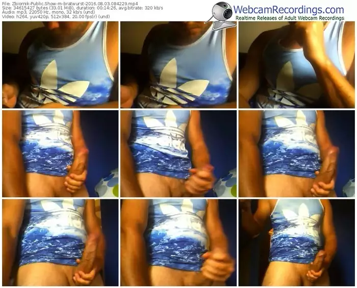 zbiornik-bratwurst-webcam-show-08_03_2016-08_42_29