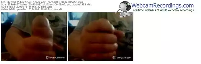 zbiornik-pam_pam_para-webcam-show-08_04_2016-04_52_53