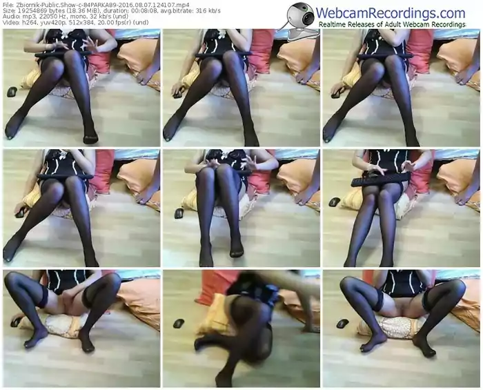 zbiornik-84parka89-webcam-show-08_07_2016-12_41_07