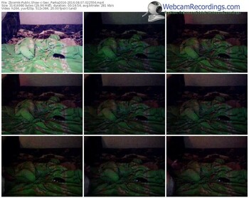 zbiornik-sexi_parka2016-webcam-show-08_07_2016-02_25_56