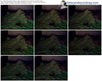 zbiornik-sexi_parka2016-webcam-show-08_07_2016-02_45_56