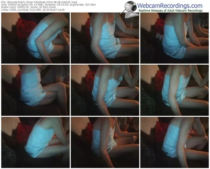 zbiornik-rudziae-webcam-show-08_08_2016-02_06_21