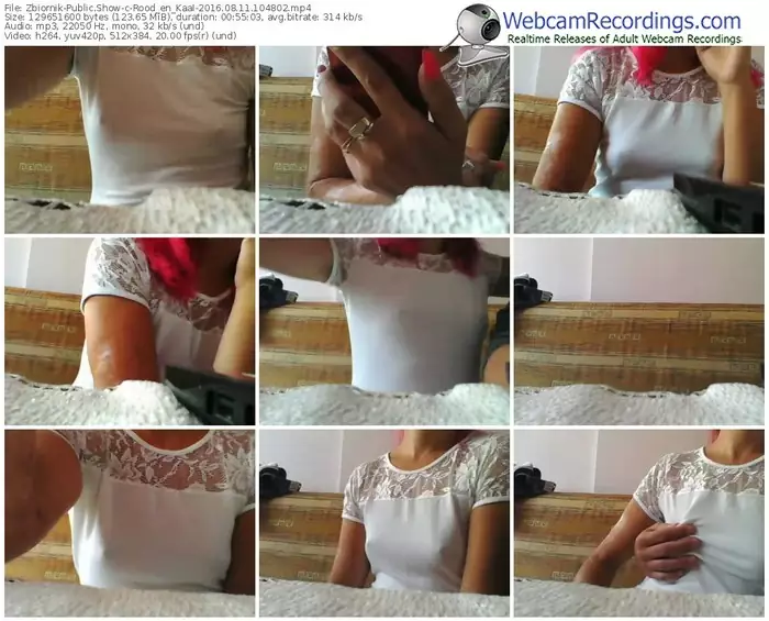 zbiornik-rood_en_kaal-webcam-show-08_11_2016-10_48_02