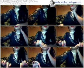 zbiornik-sexi_parka2016-webcam-show-08_12_2016-23_55_50