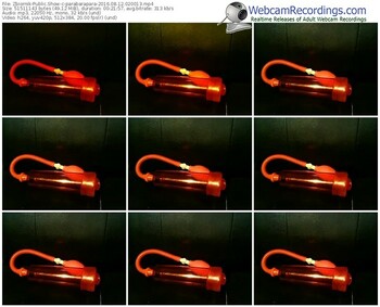 zbiornik-parabarapara-webcam-show-08_12_2016-02_00_13