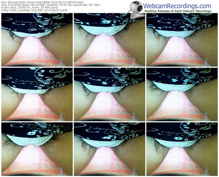 zbiornik-hairybbw-webcam-show-08_12_2016-09_35_45