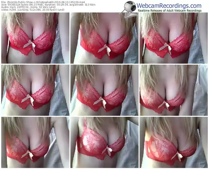 zbiornik-91hotparka89-webcam-show-08_13_2016-16_51_09