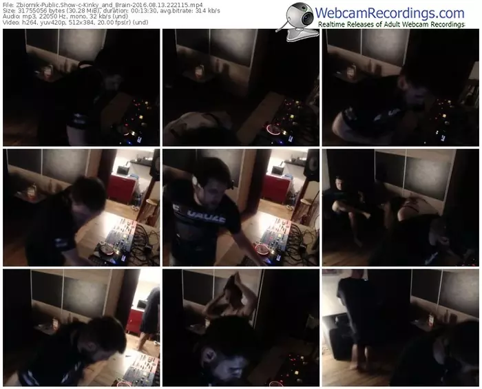 zbiornik-kinky_and_brain-webcam-show-08_13_2016-22_21_15