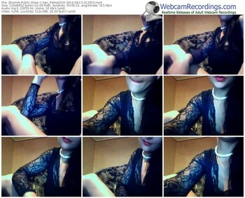 zbiornik-sexi_parka2016-webcam-show-08_13_2016-01_20_53