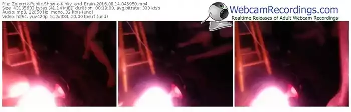 zbiornik-kinky_and_brain-webcam-show-08_14_2016-04_59_50