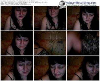 zbiornik-parka81o-webcam-show-08_15_2016-00_40_04