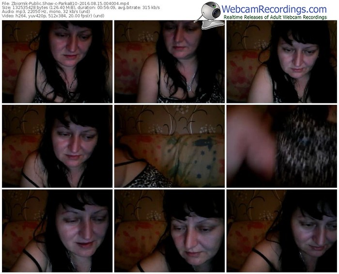 zbiornik-parka81o-webcam-show-08_15_2016-00_40_04