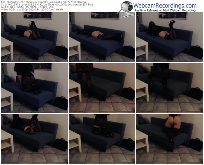 zbiornik-niemoralni_wlkp-webcam-show-08_15_2016-23_20_28