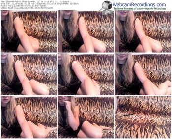 zbiornik-parka212134-webcam-show-08_15_2016-22_15_26